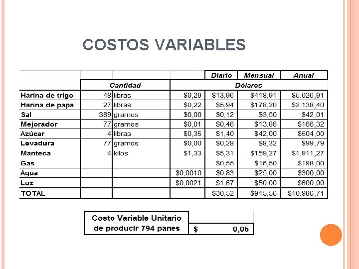 COSTOS VARIABLES 