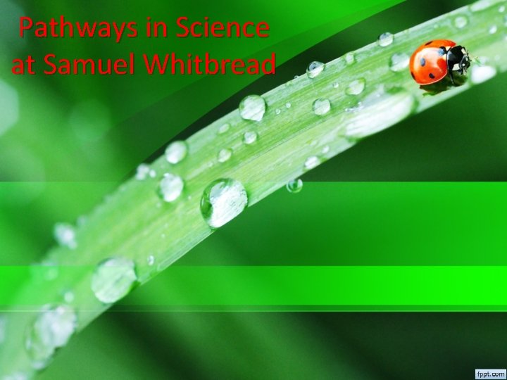 Pathways in Science at Samuel Whitbread 