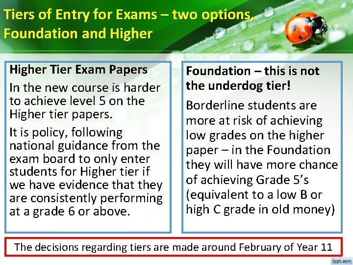 Tiers of Entry for Exams – two options, Foundation and Higher Tier Exam Papers