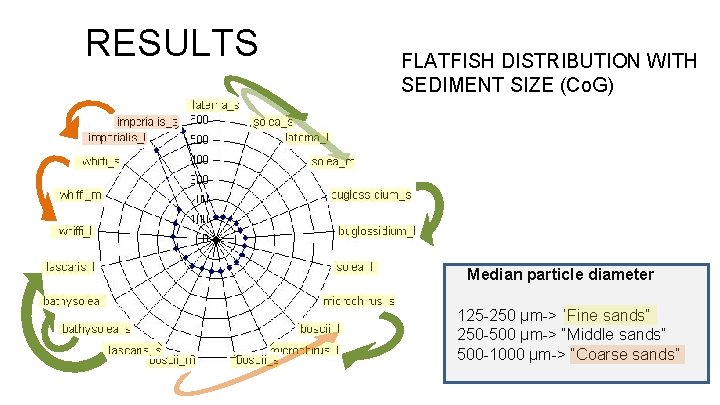 RESULTS FLATFISH DISTRIBUTION WITH SEDIMENT SIZE (Co. G) Median particle diameter 125 -250 µm->