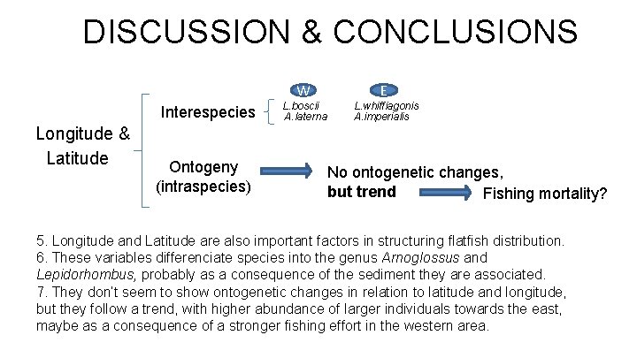 DISCUSSION & CONCLUSIONS W Interespecies Longitude & Latitude Ontogeny (intraspecies) L. boscii A. laterna