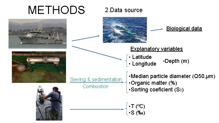 METHODS 2. Data source Biological data Explanatory variables • Latitude • Longitude • Depth