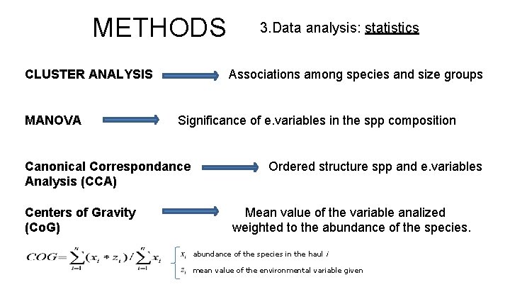 METHODS CLUSTER ANALYSIS MANOVA Associations among species and size groups Significance of e. variables