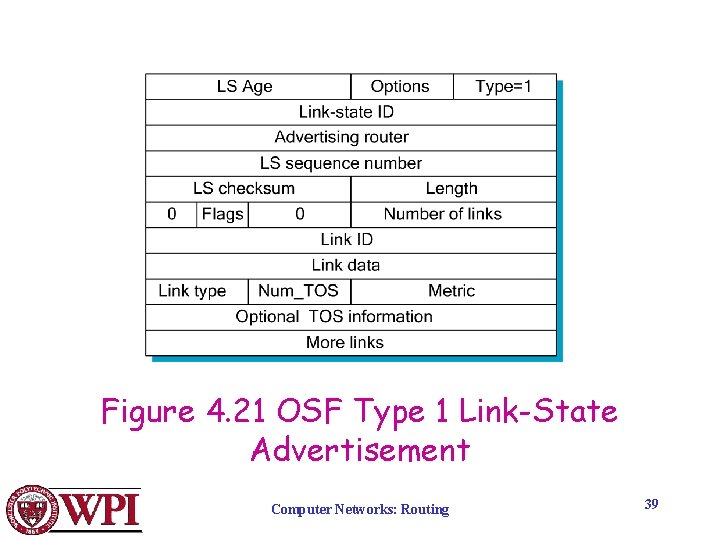 Figure 4. 21 OSF Type 1 Link-State Advertisement Computer Networks: Routing 39 