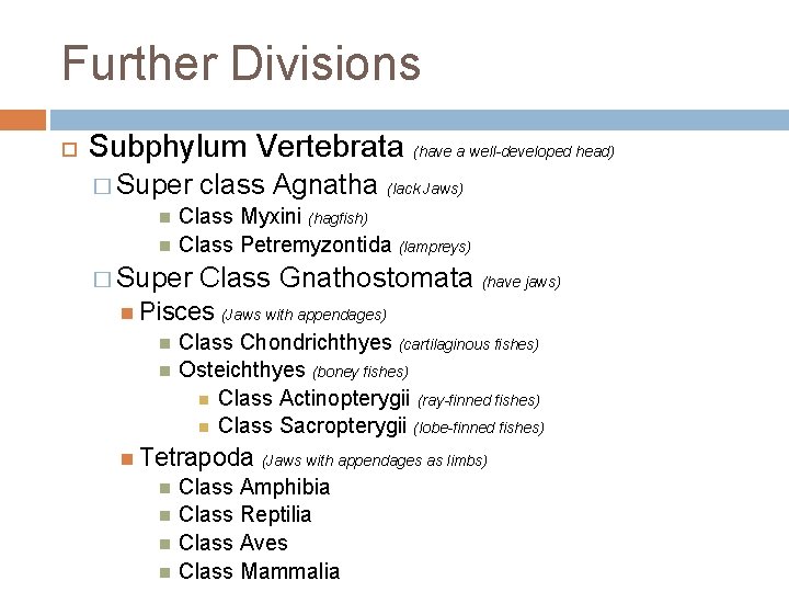 Further Divisions Subphylum Vertebrata (have a well-developed head) � Super class Agnatha (lack Jaws)