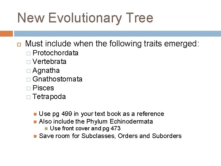 New Evolutionary Tree Must include when the following traits emerged: � Protochordata � Vertebrata