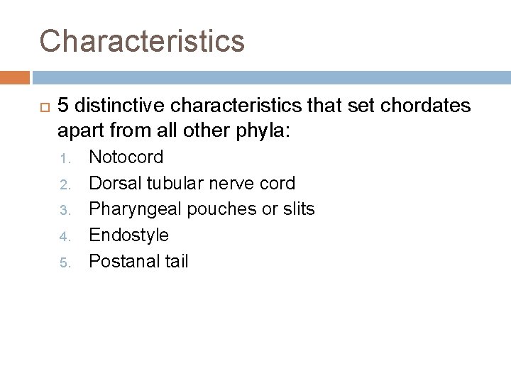 Characteristics 5 distinctive characteristics that set chordates apart from all other phyla: 1. 2.