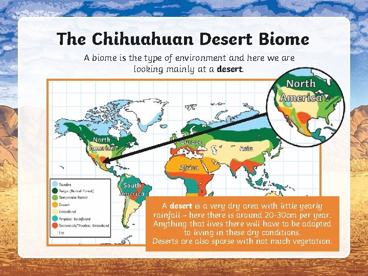 The Chihuahuan Desert Biome A biome is the type of environment and here we