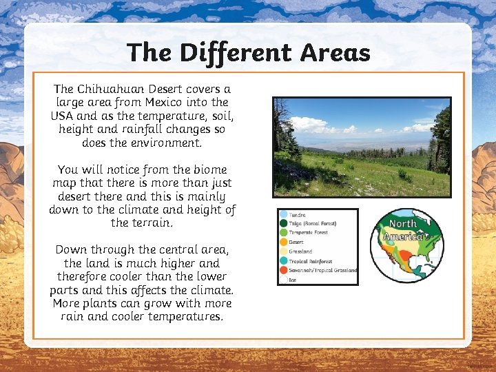 The Different Areas The Chihuahuan Desert covers a large area from Mexico into the