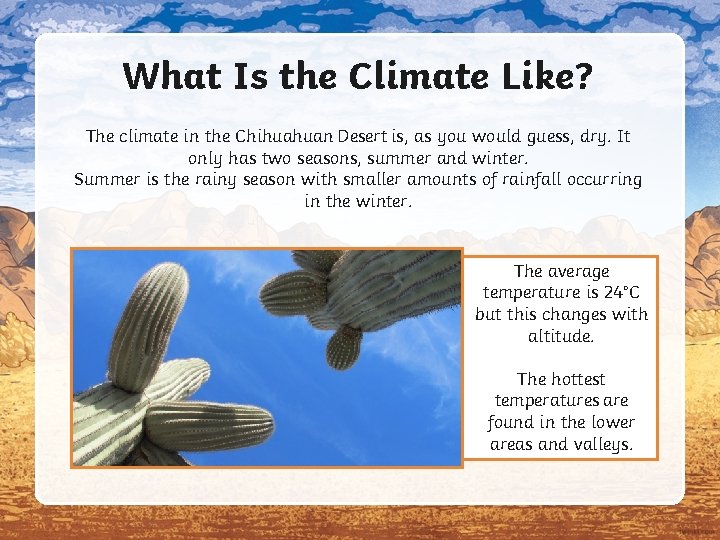 What Is the Climate Like? The climate in the Chihuahuan Desert is, as you