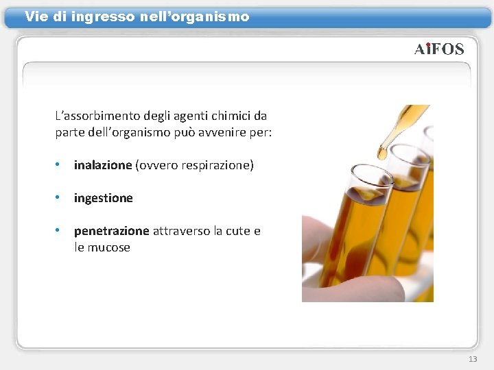 Vie di ingresso nell’organismo L’assorbimento degli agenti chimici da parte dell’organismo può avvenire per: