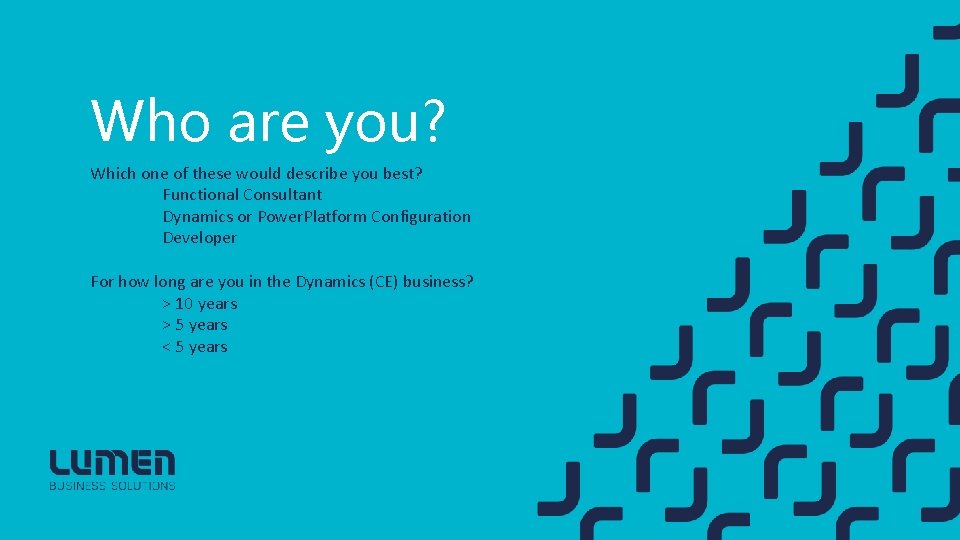 Who are you? Which one of these would describe you best? Functional Consultant Dynamics