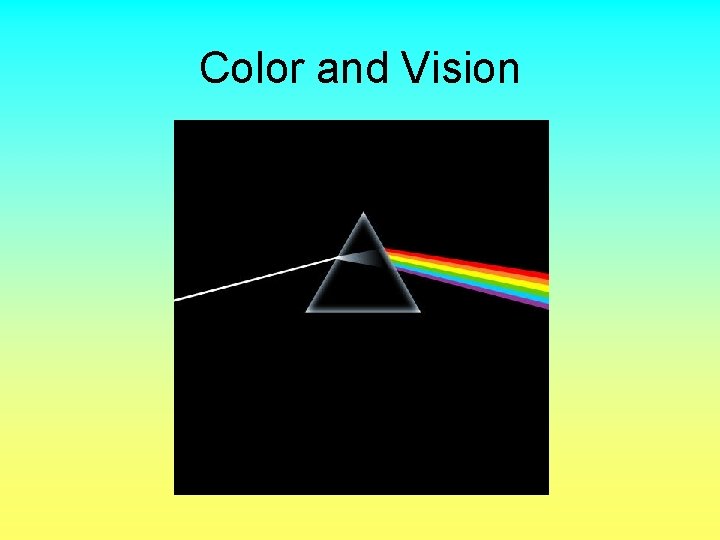 Color and Vision 