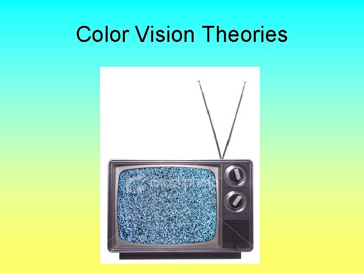 Color Vision Theories 
