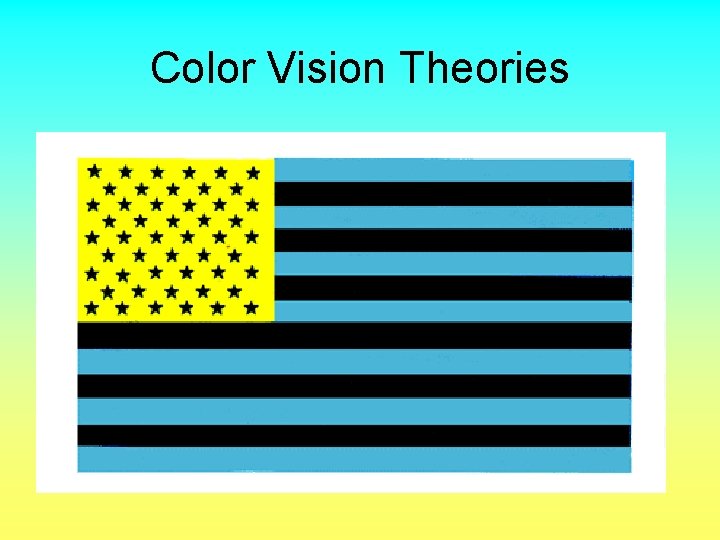 Color Vision Theories 