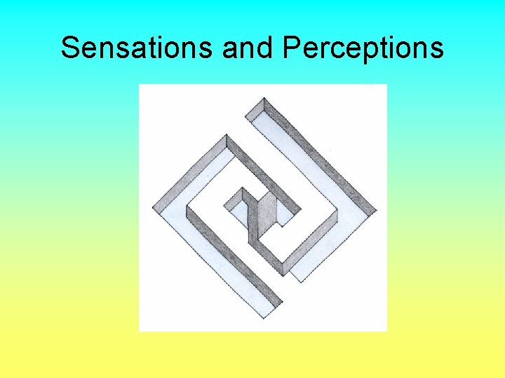 Sensations and Perceptions 