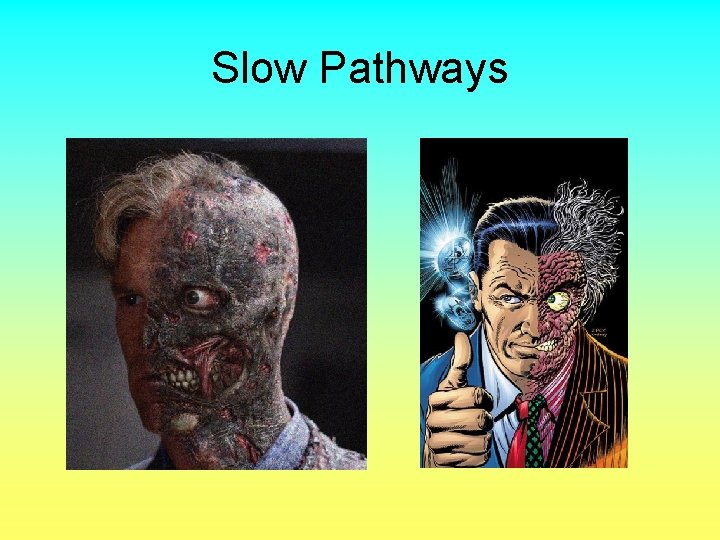 Slow Pathways 