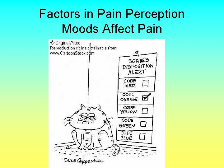 Factors in Pain Perception Moods Affect Pain 