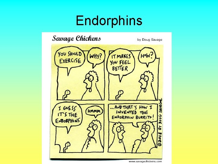 Endorphins 