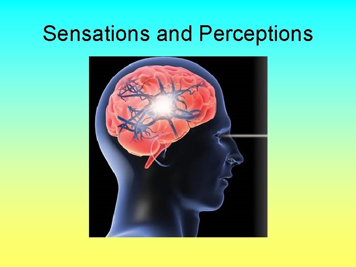 Sensations and Perceptions 