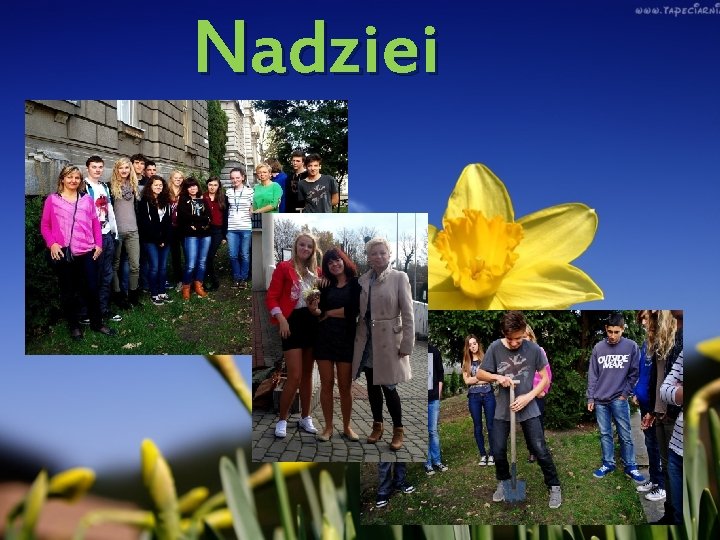 Nadziei 