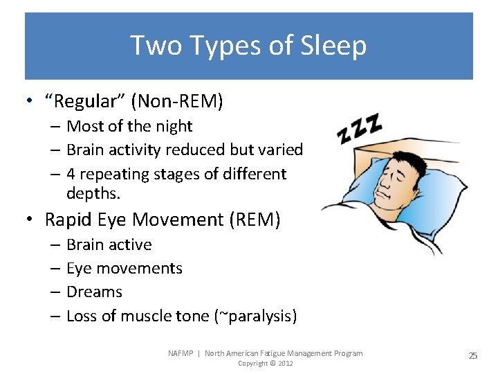 Two Types of Sleep • “Regular” (Non-REM) – Most of the night – Brain
