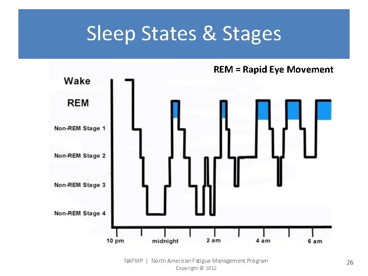 Sleep States & Stages REM = Rapid Eye Movement NAFMP | North American Fatigue