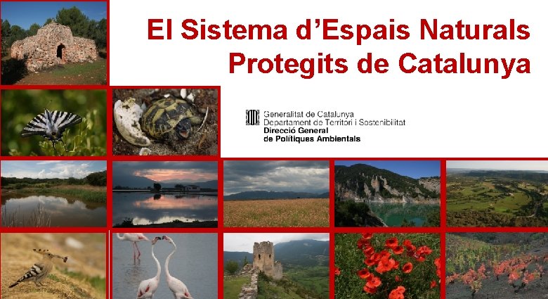 El Sistema d’Espais Naturals Protegits de Catalunya 