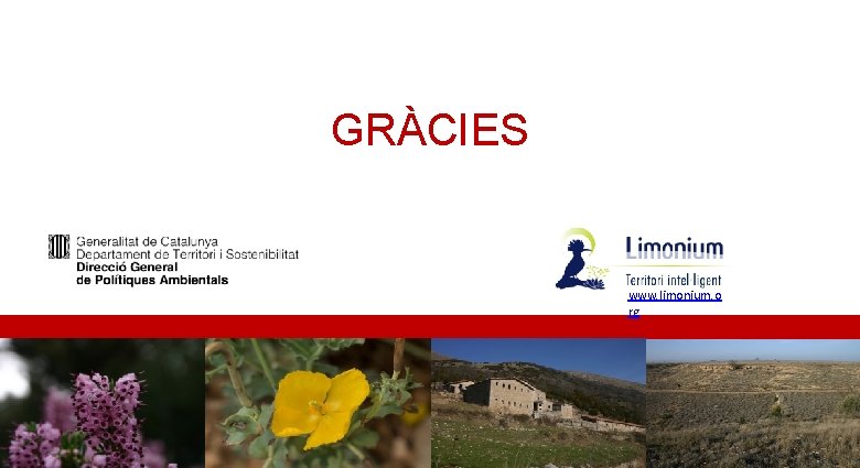 GRÀCIES www. limonium. o rg 