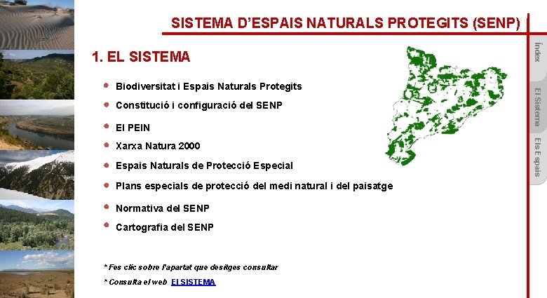 SISTEMA D’ESPAIS NATURALS PROTEGITS (SENP) Constitució i configuració del SENP El PEIN Espais Naturals