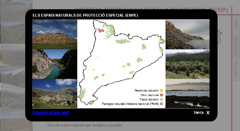 SISTEMA D’ESPAIS NATURALS PROTEGITS (SENP) ELS ESPAIS NATURALS DE PROTECCIÓ ESPECIAL (ENPE) Índex 1.