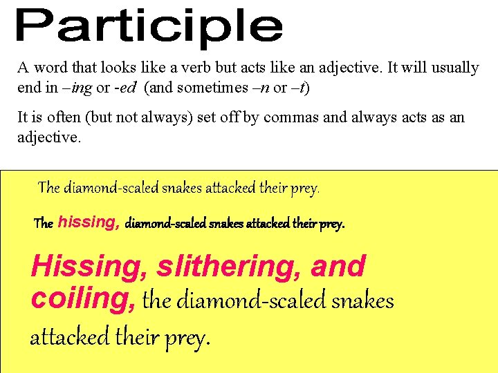 A word that looks like a verb but acts like an adjective. It will A word that looks like a verb but acts like an adjective. It will