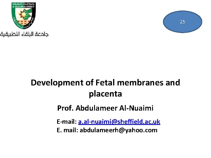 25 Development of Fetal membranes and placenta Prof. Abdulameer Al-Nuaimi E-mail: a. al-nuaimi@sheffield. ac.
