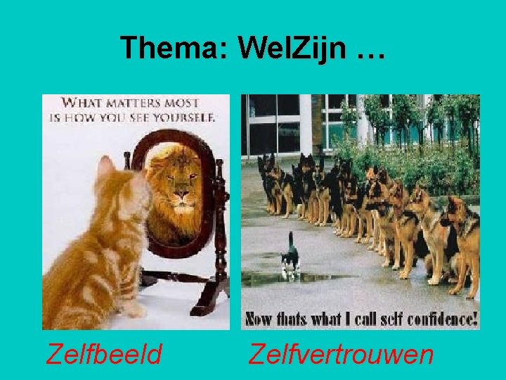 Thema: Wel. Zijn … Zelfbeeld Zelfvertrouwen 