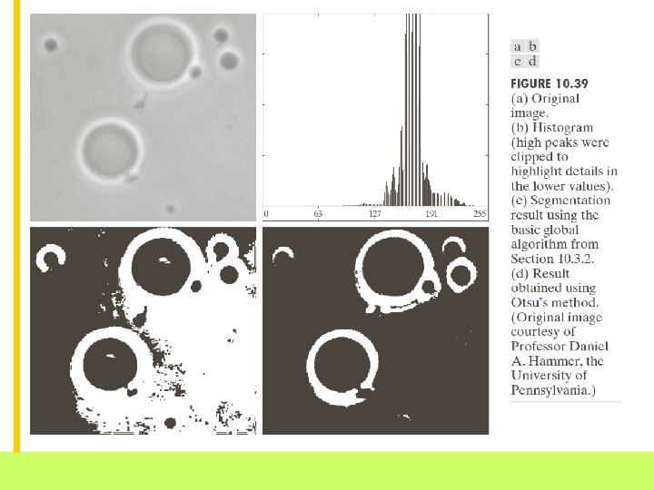 School of Mechatronic Engineering Ai. COS Research Group 