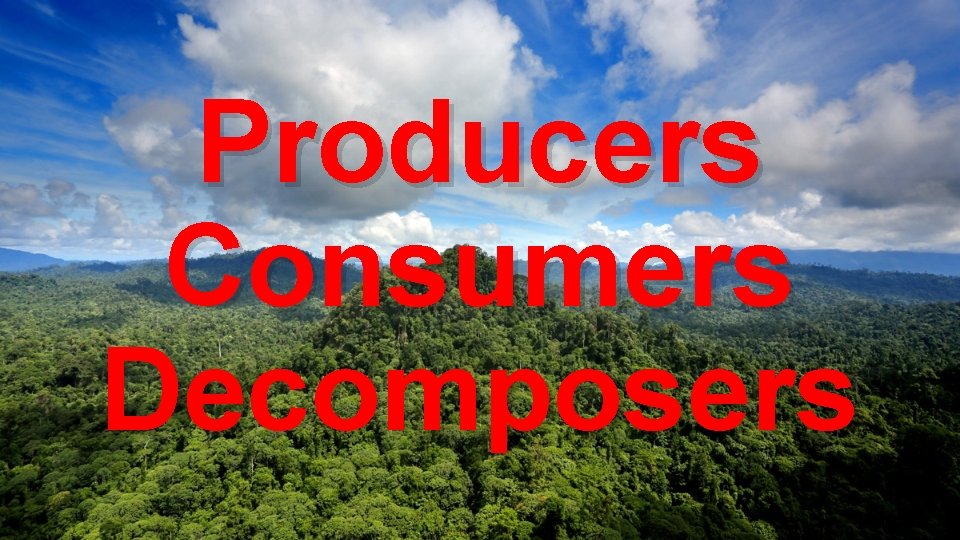 Producers Consumers Decomposers 