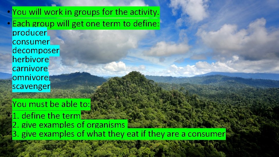  • You will work in groups for the activity. • Each group will