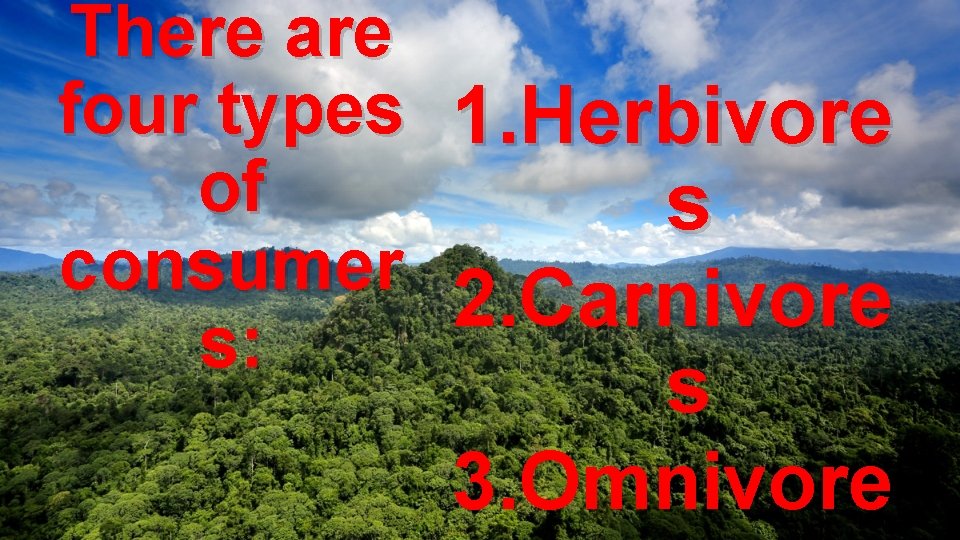 There are four types of consumer s: 1. Herbivore s 2. Carnivore s 3.