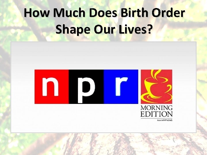 How Much Does Birth Order Shape Our Lives? 
