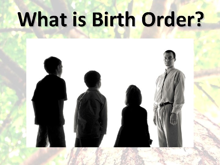 What is Birth Order? 