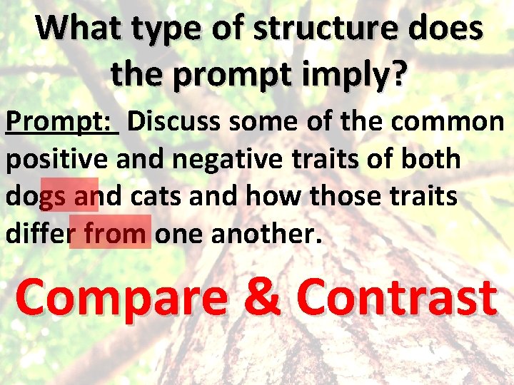 What type of structure does the prompt imply? Prompt: Discuss some of the common