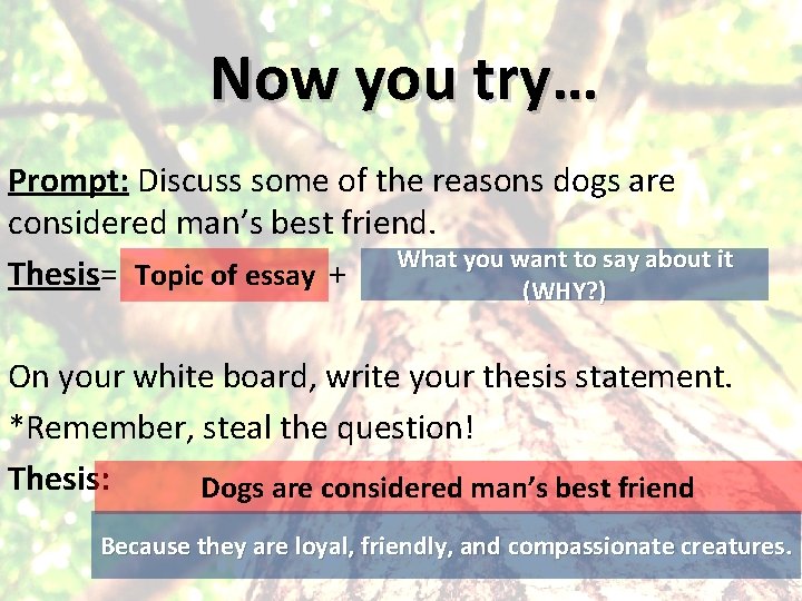 Now you try… Prompt: Discuss some of the reasons dogs are considered man’s best