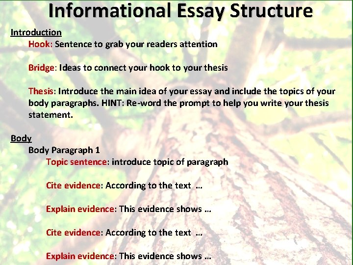 Informational Essay Structure Introduction Hook: Sentence to grab your readers attention Bridge: Ideas to