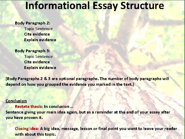 Informational Essay Structure Body Paragraph 2: Topic Sentence Cite evidence Explain evidence Body Paragraph