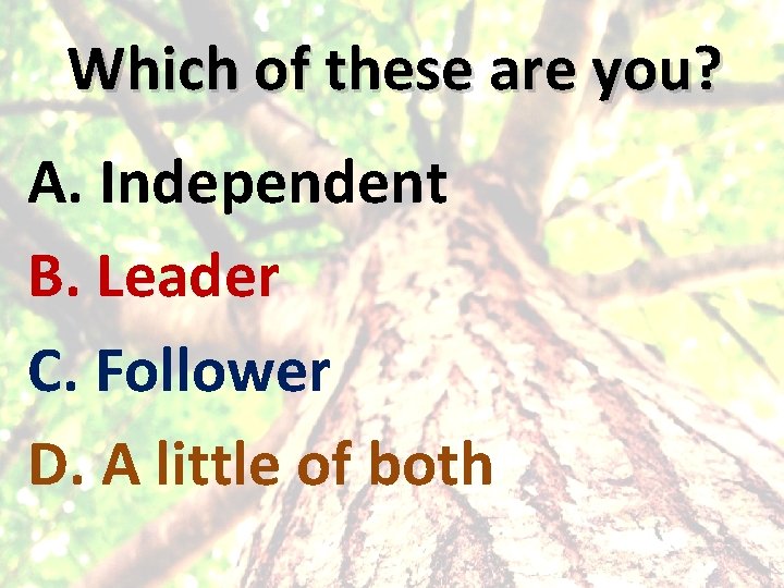 Which of these are you? A. Independent B. Leader C. Follower D. A little