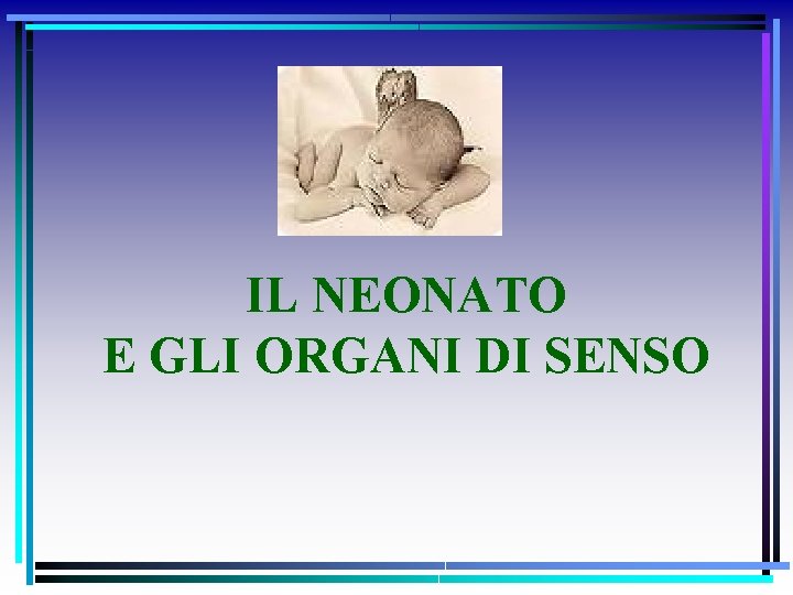 IL NEONATO E GLI ORGANI DI SENSO 