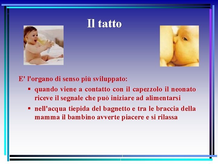 Il tatto E' l'organo di senso più sviluppato: § quando viene a contatto con