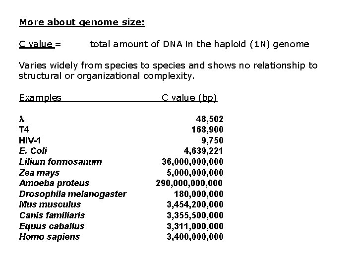 More about genome size: C value = total amount of DNA in the haploid