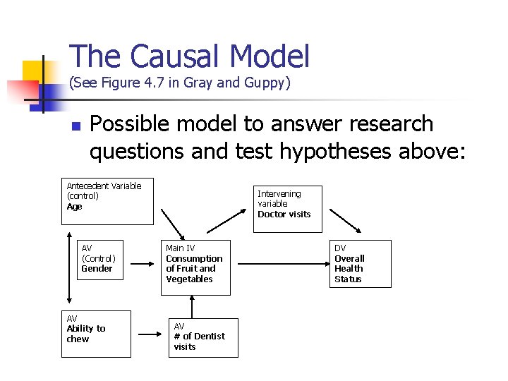 The Causal Model (See Figure 4. 7 in Gray and Guppy) n Possible model