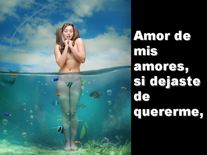 Amor de mis amores, si dejaste de quererme, 